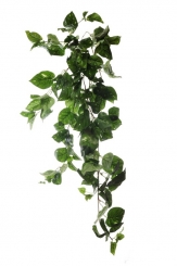 002 Veštaćke lozice   